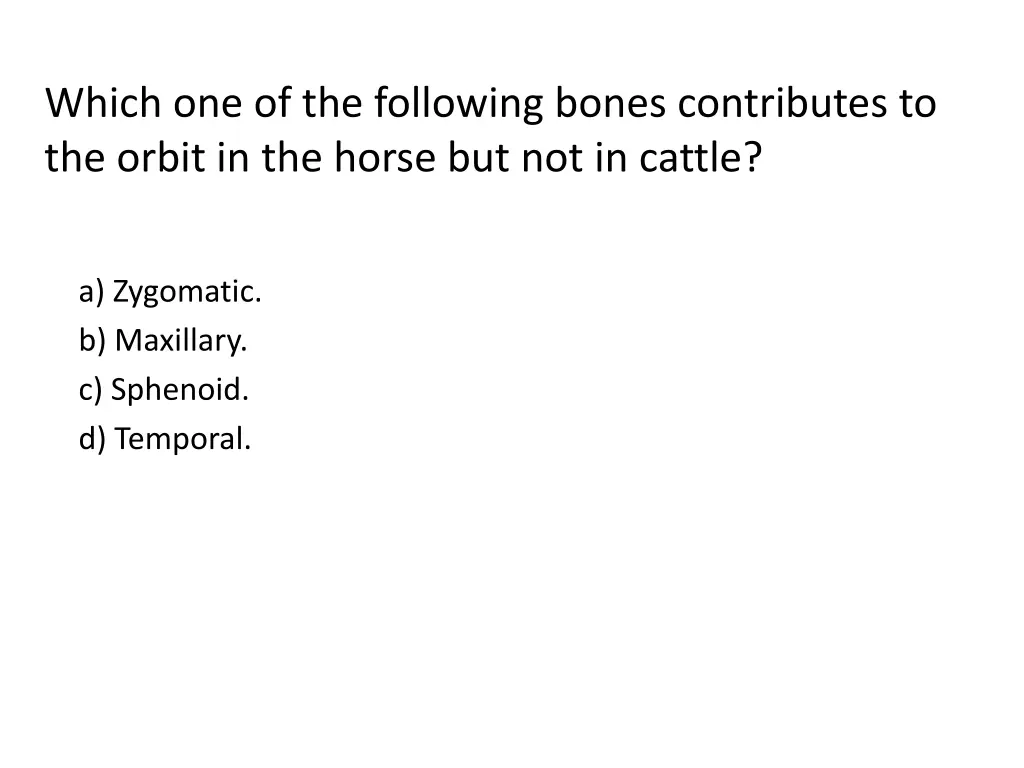 which one of the following bones contributes