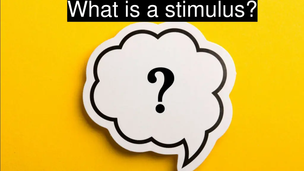 what is a stimulus