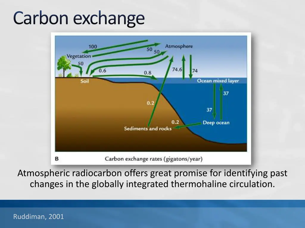 carbon exchange