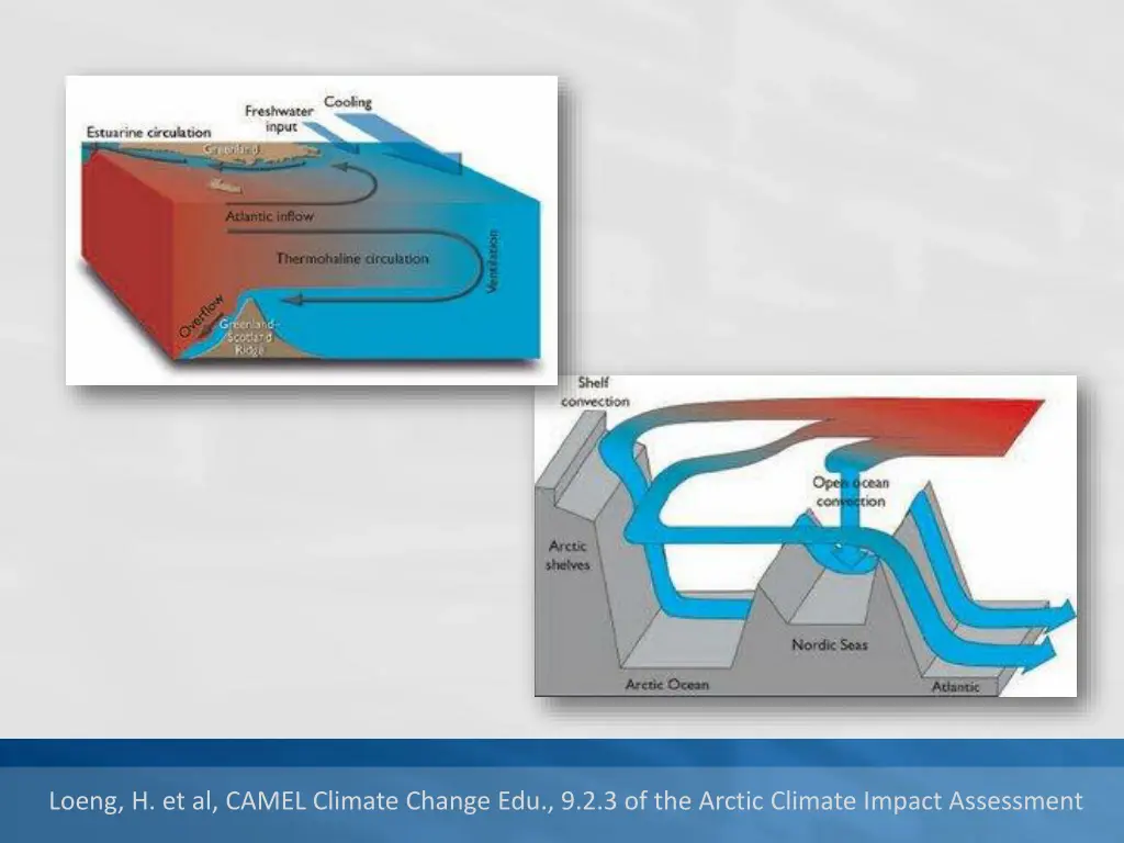 loeng h et al camel climate change