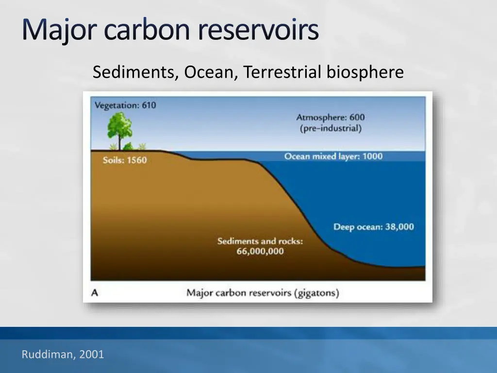 major carbon reservoirs