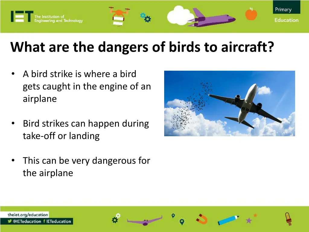 what are the dangers of birds to aircraft