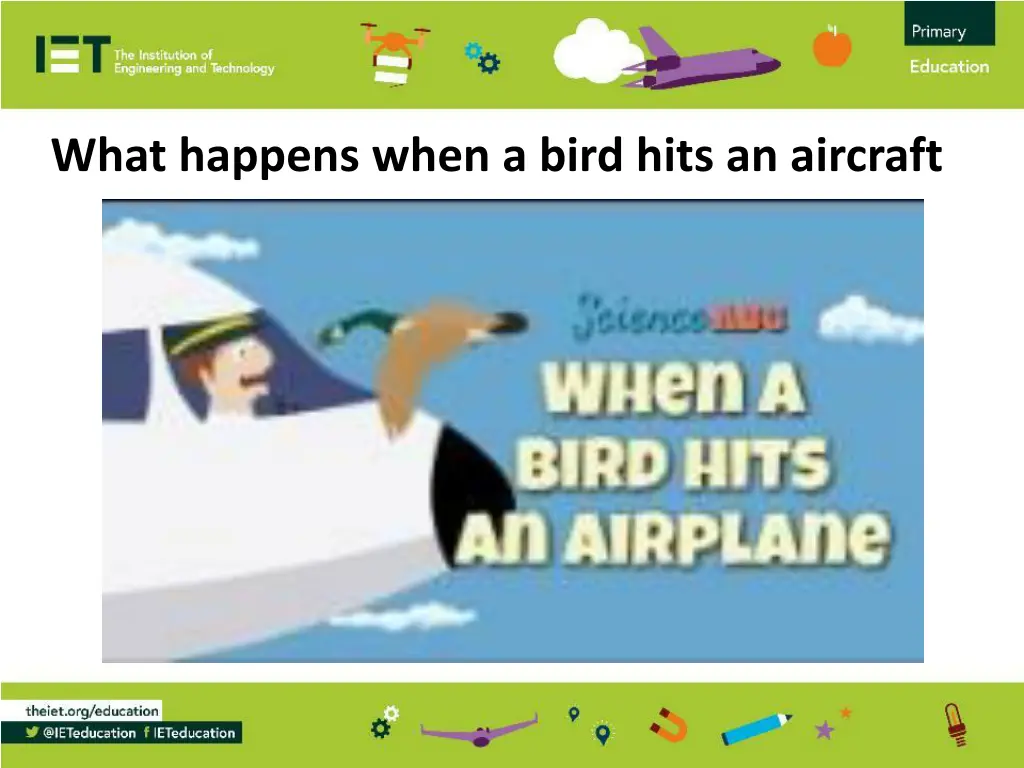 what happens when a bird hits an aircraft