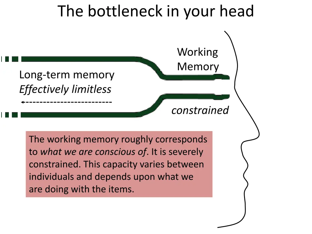 the bottleneck in your head 1