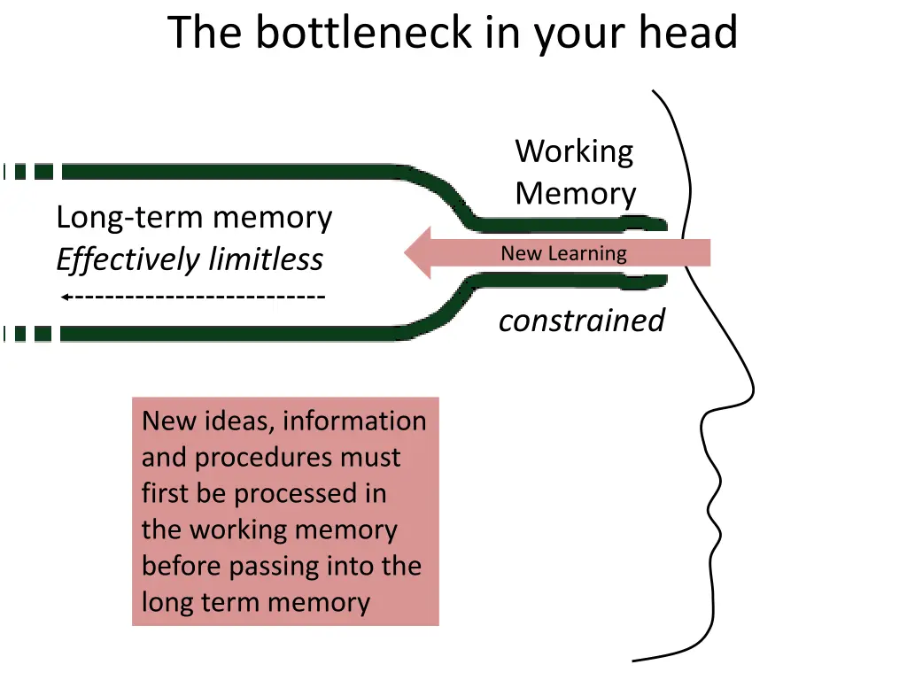 the bottleneck in your head 2