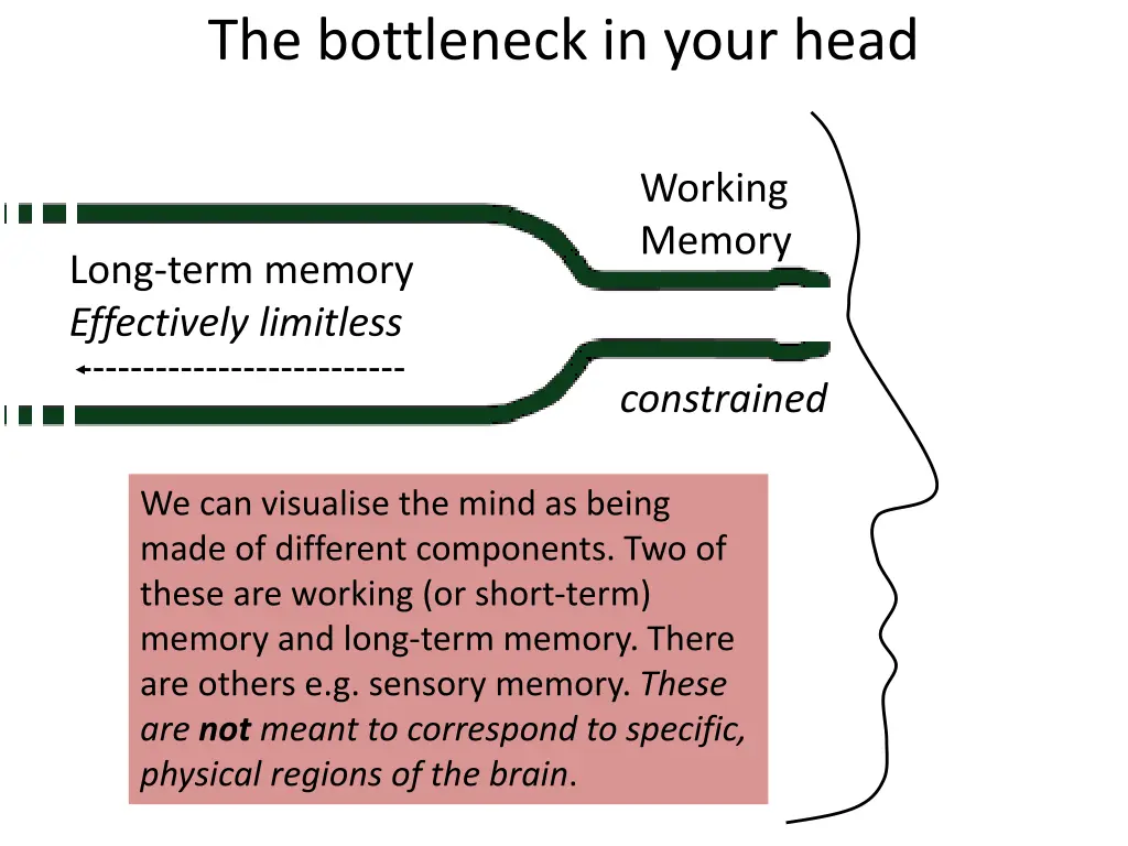 the bottleneck in your head