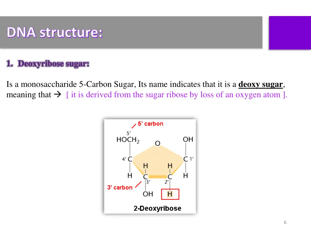 dna structure