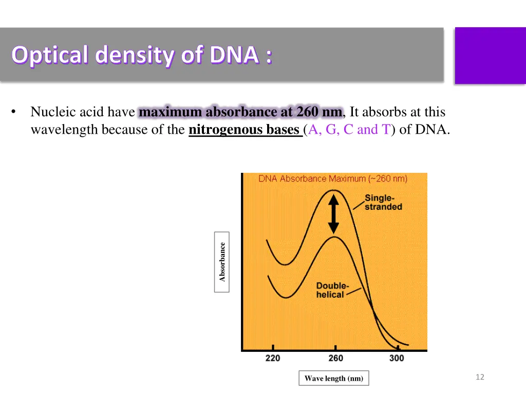 optical density of dna