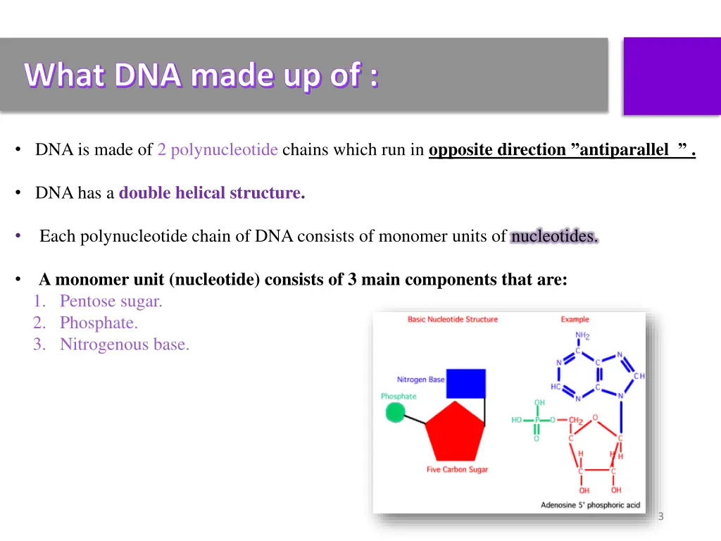 what dna made up of