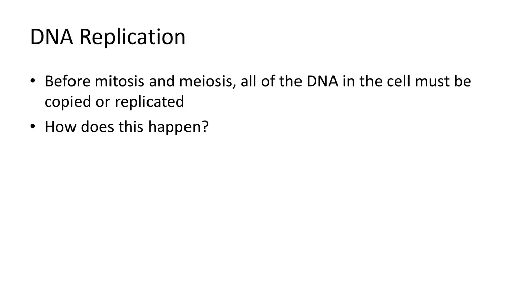 dna replication