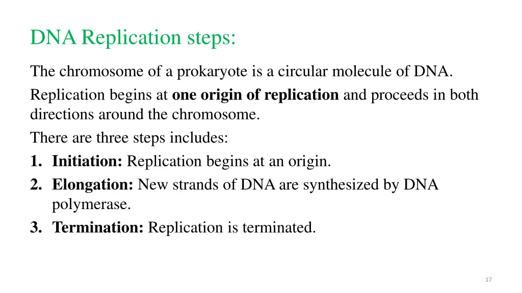 dna replication steps