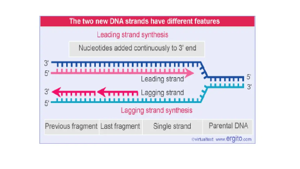 slide16