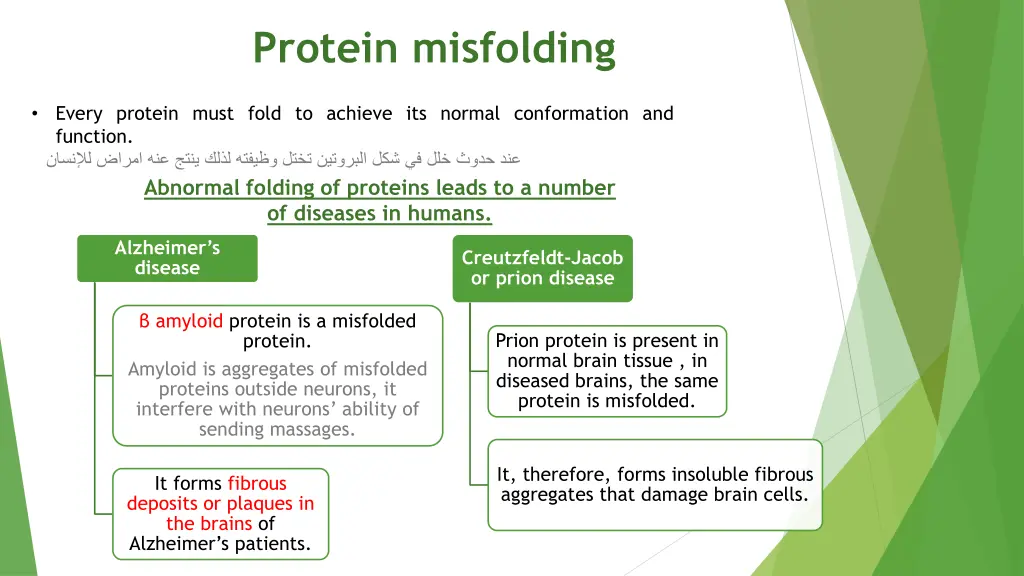 protein misfolding