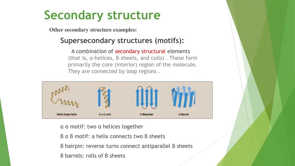 secondary structure 3