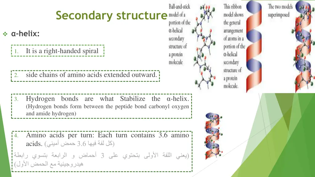 secondary structure