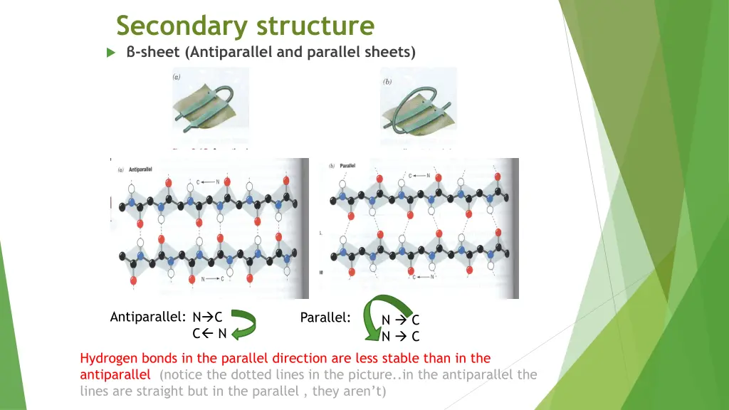 secondary structure sheet antiparallel