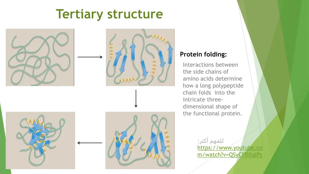 tertiary structure 1