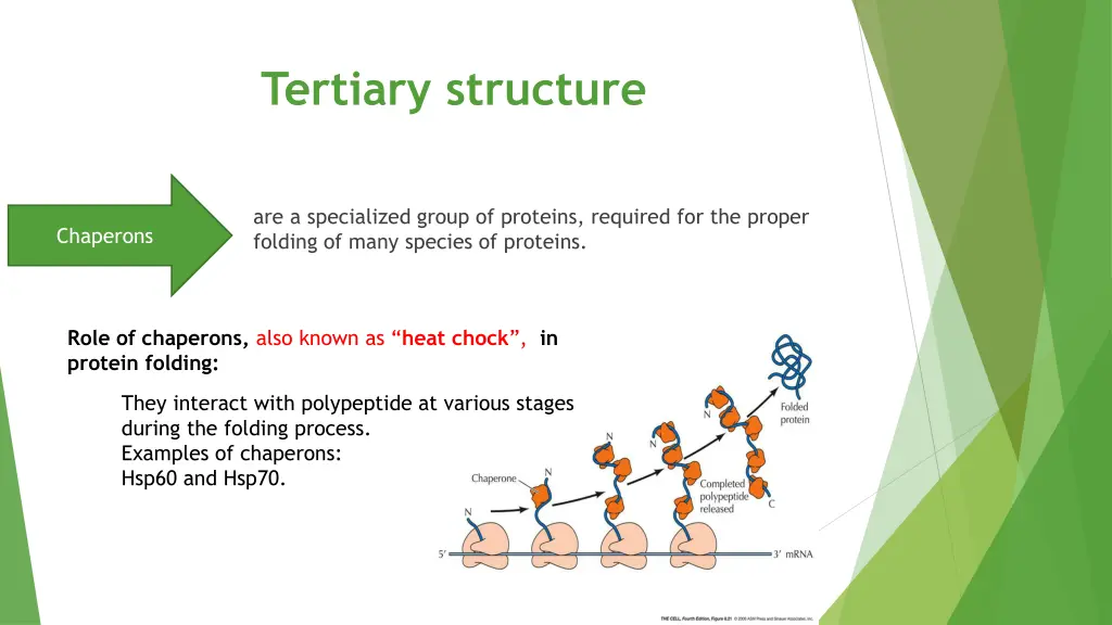 tertiary structure 2