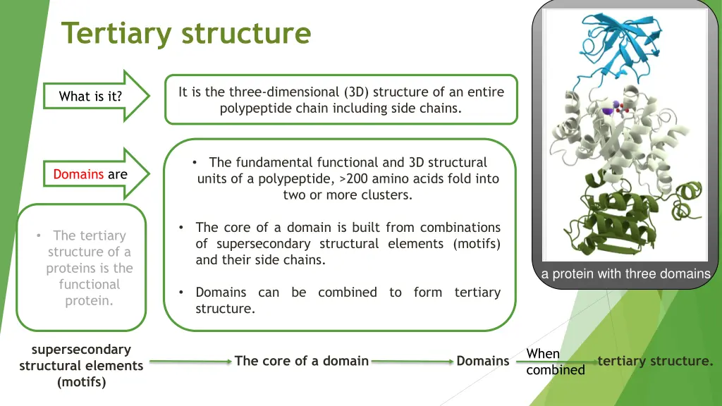 tertiary structure