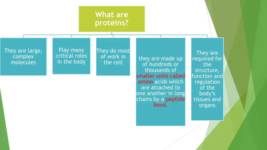 what are proteins