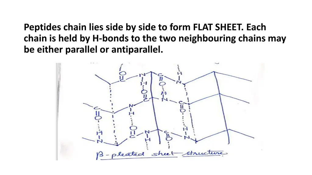 peptides chain lies side by side to form flat