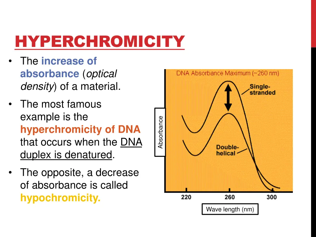 hyperchromicity the increase of absorbance