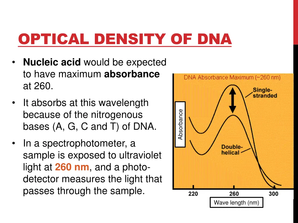 optical density of dna