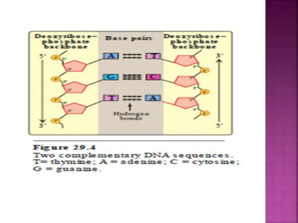 slide7