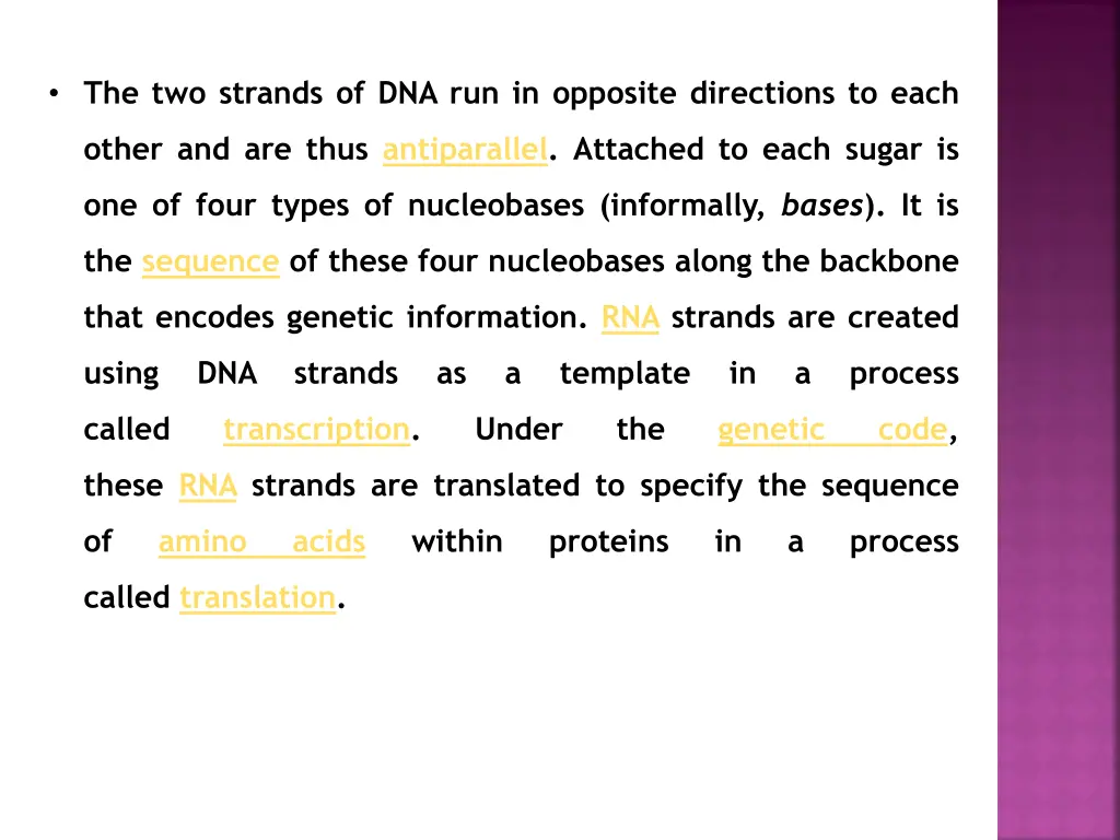 the two strands of dna run in opposite directions