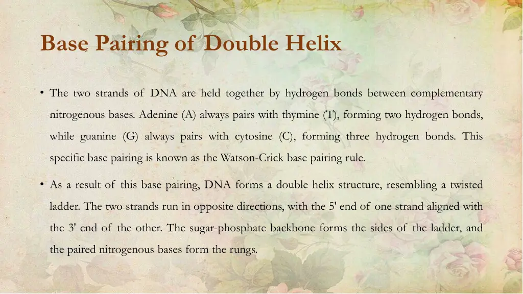 base pairing of double helix