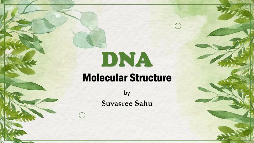 dna molecular structure