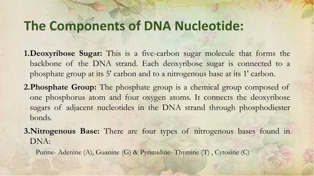 the components of dna nucleotide