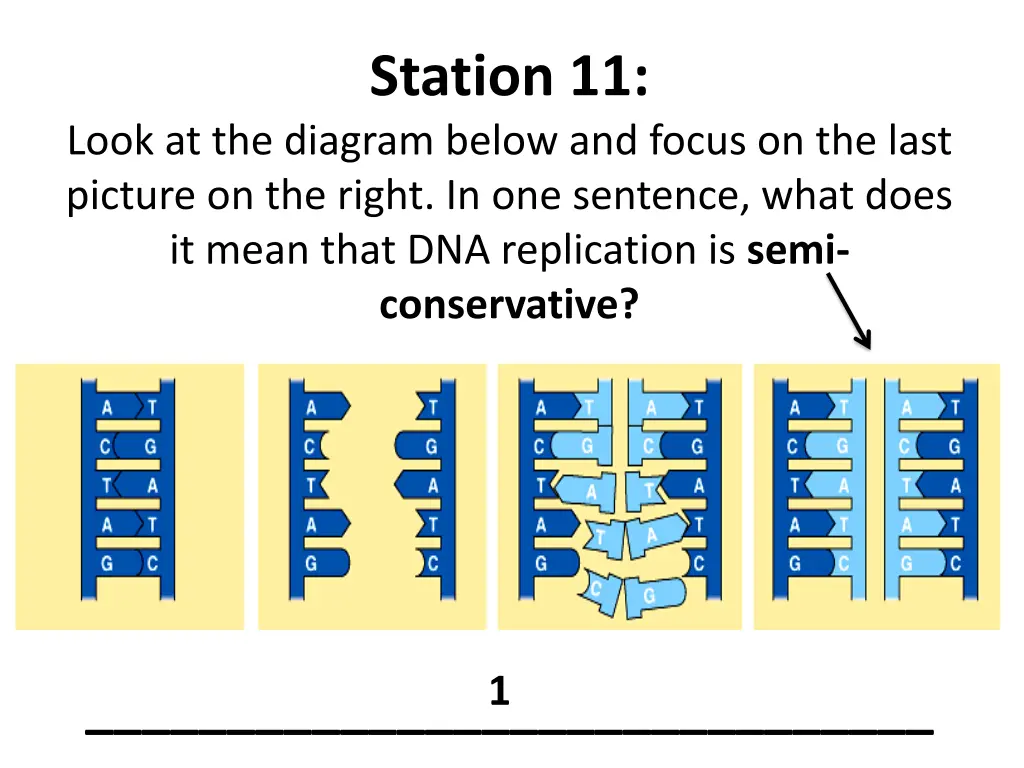 station 11