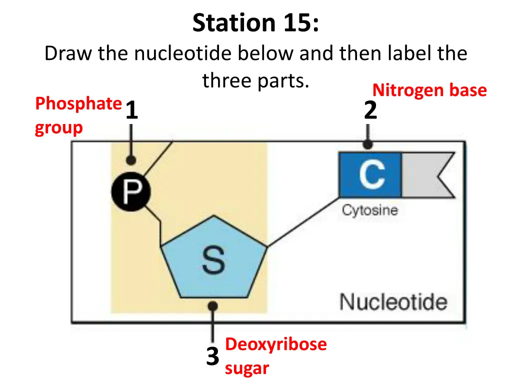 station 15 1