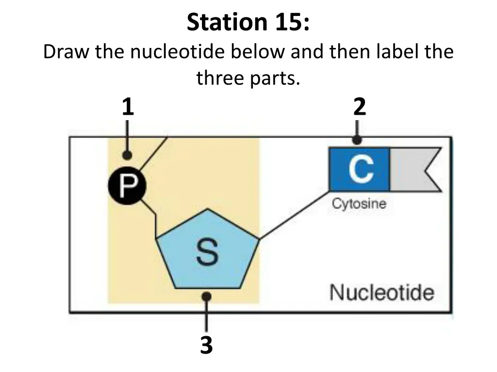 station 15