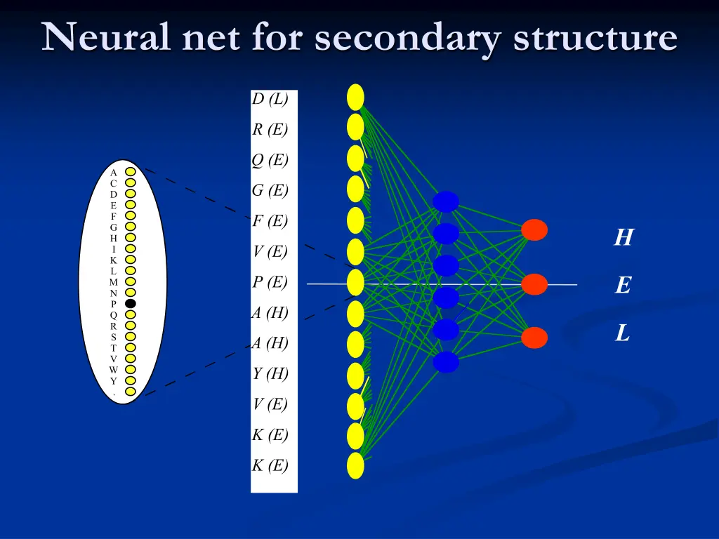 neural net for secondary structure