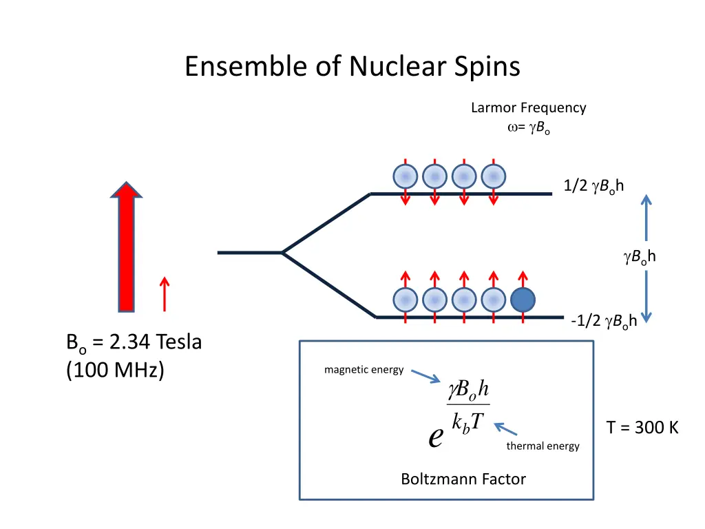 ensemble of nuclear spins 1