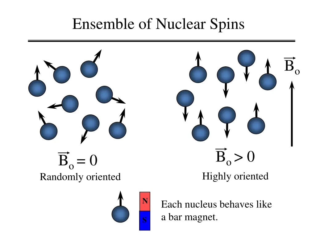 ensemble of nuclear spins