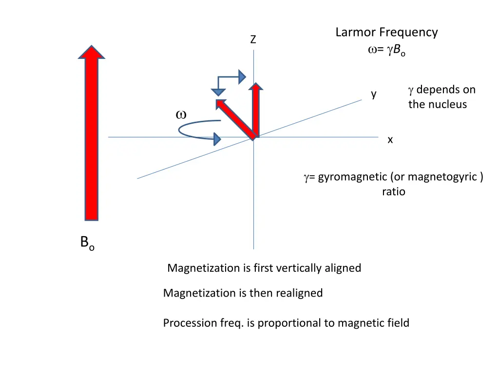 larmor frequency b o 1