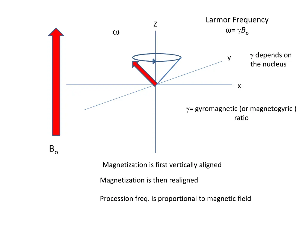 larmor frequency b o 2