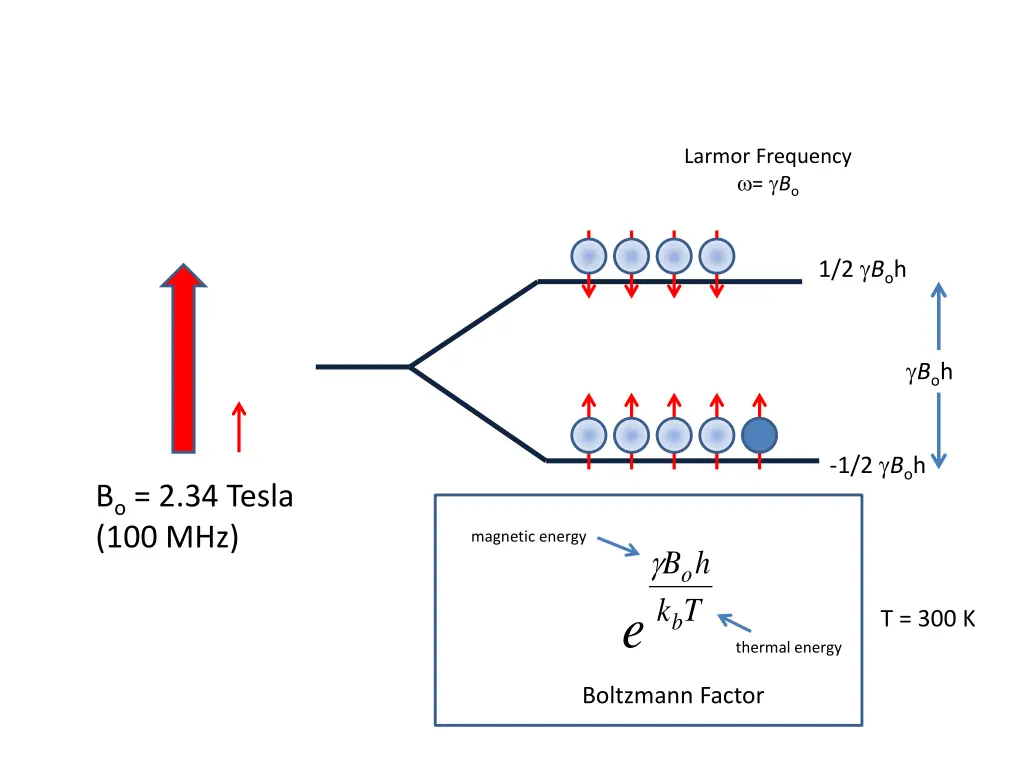 larmor frequency b o