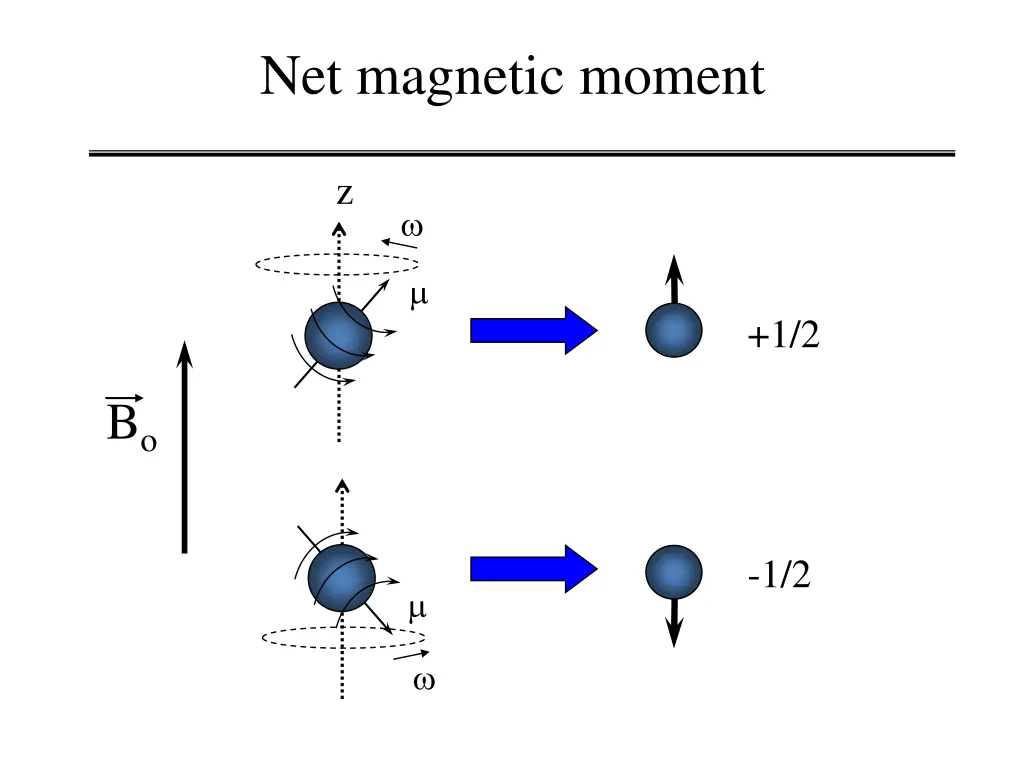 net magnetic moment