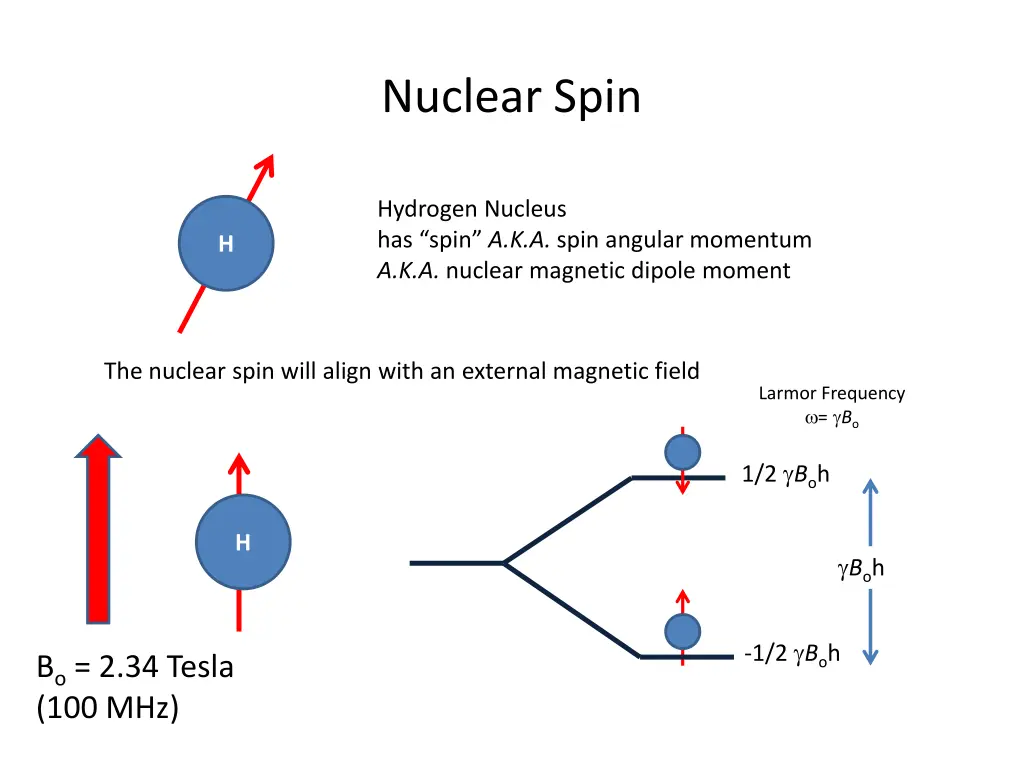 nuclear spin