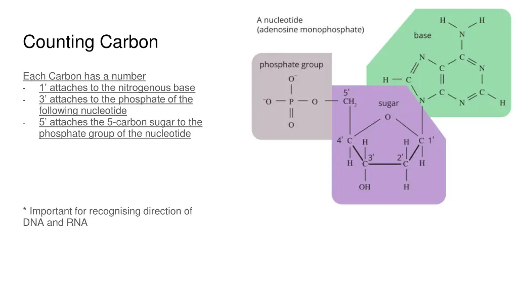 counting carbon