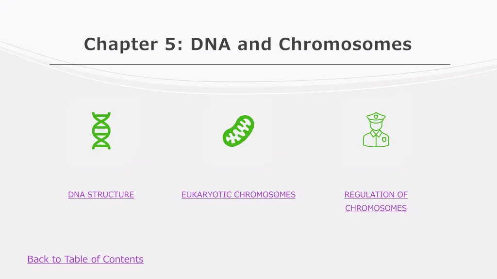 chapter 5 dna and chromosomes