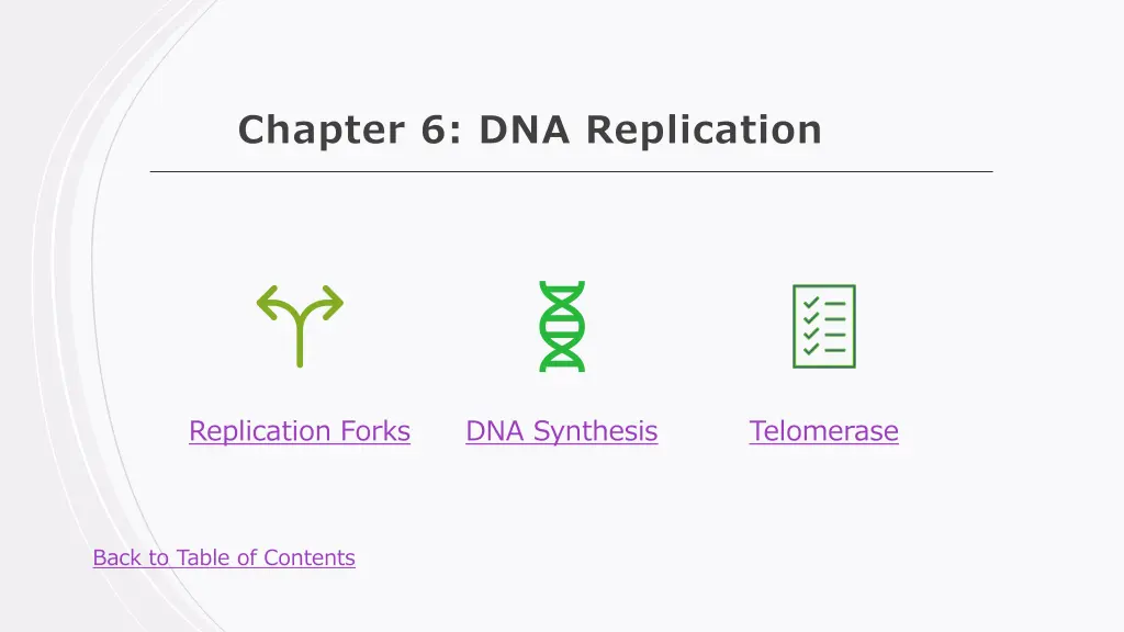 chapter 6 dna replication