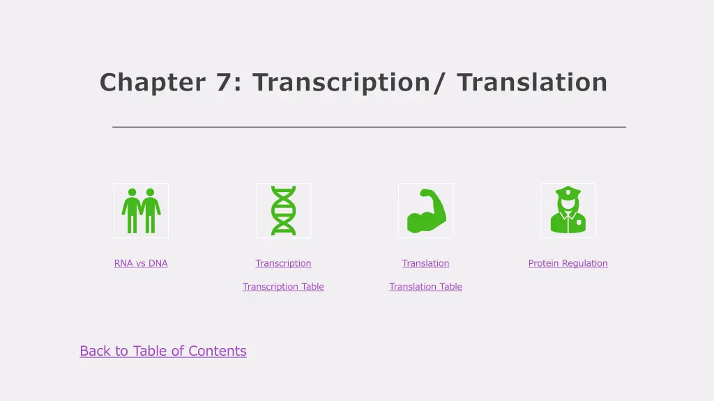 chapter 7 transcription translation