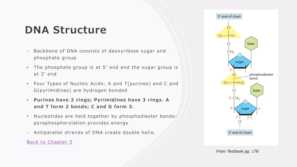 dna structure