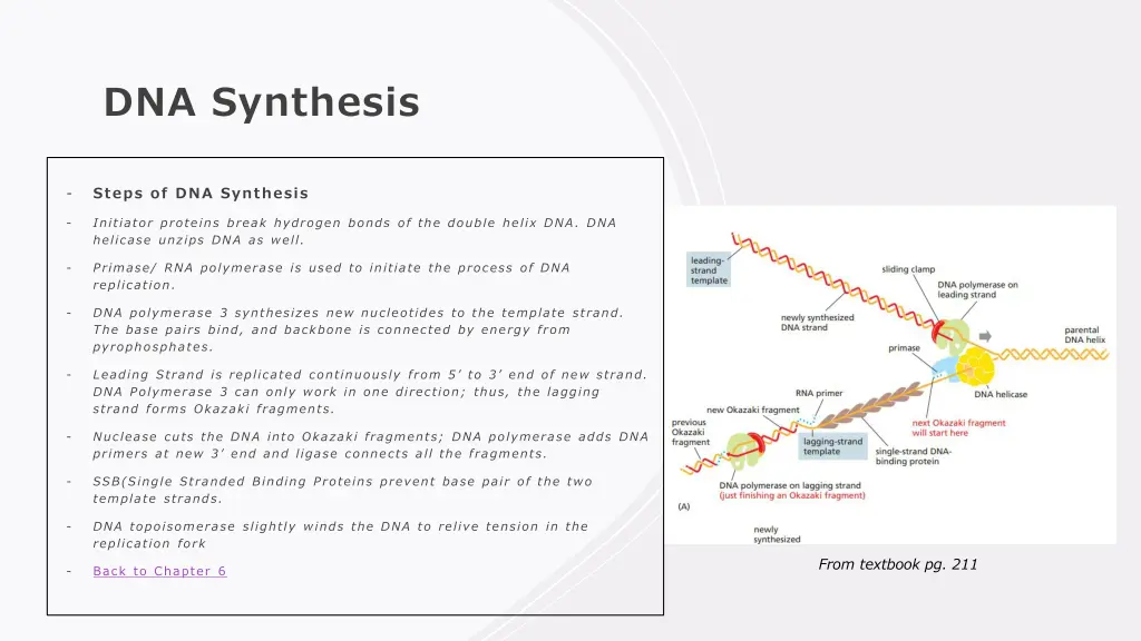 dna synthesis