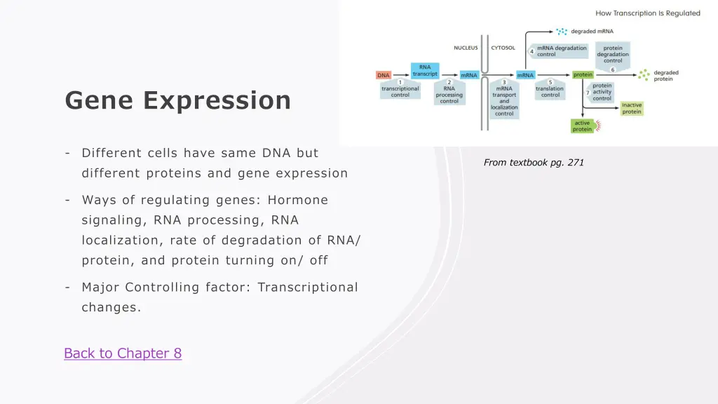 gene expression